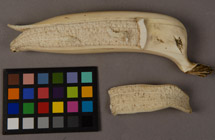 Carved Ivory Banana Before Treatment